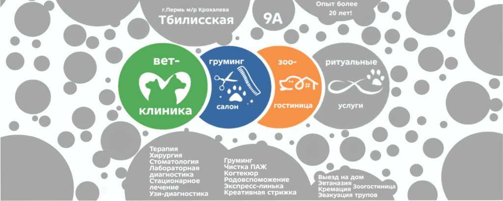 Логотип https://jobcart.ru/wp-content/uploads/2026/05/bez-nazvaniya23_20260501170525.png