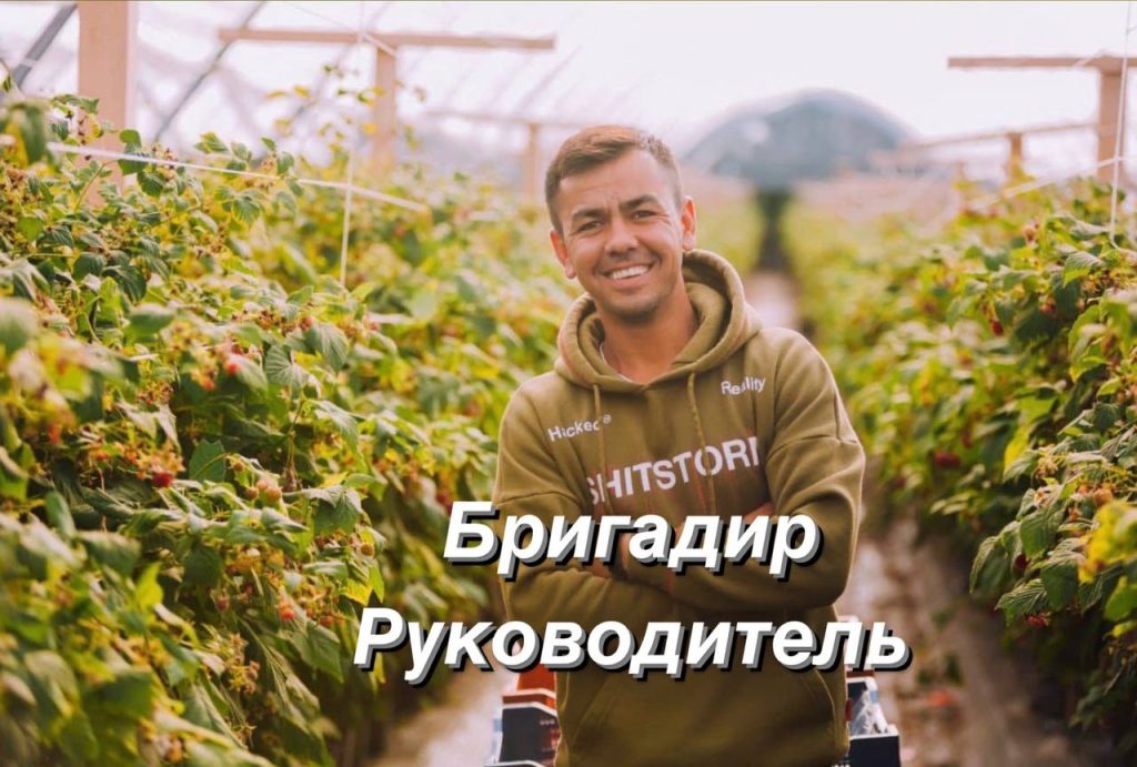 ООО "НОВО ЯГОДА"