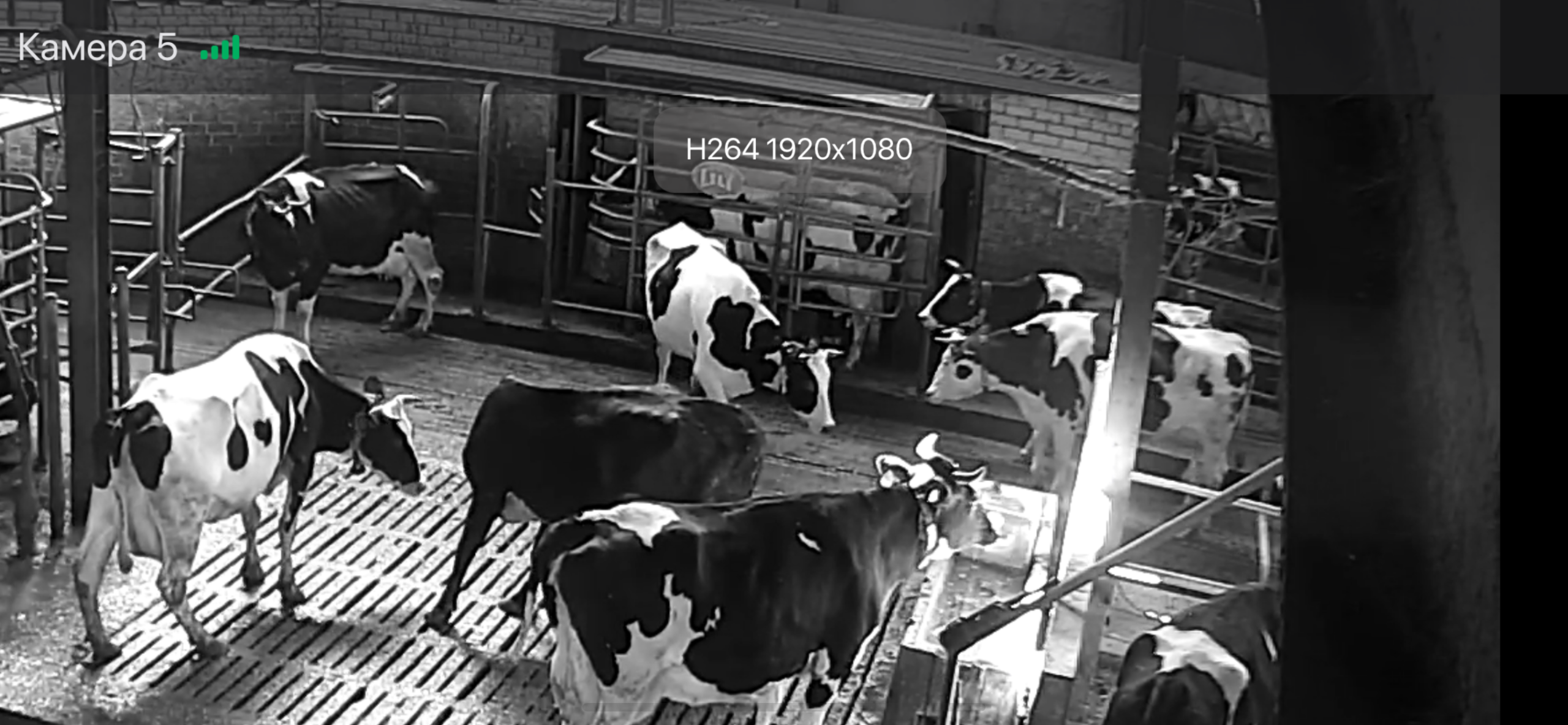 ООО "АПФ" ХОТЬКОВО"