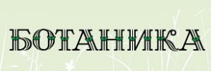 ООО "ЛАЙН-СЕРВИС"