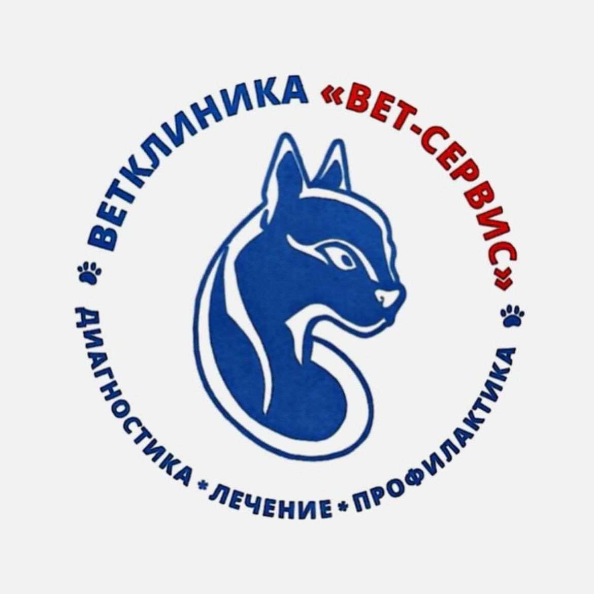 Логотип Ветеринарная клиника "Вет-сервис" (ИП Гурова Наталия Владиленовна)